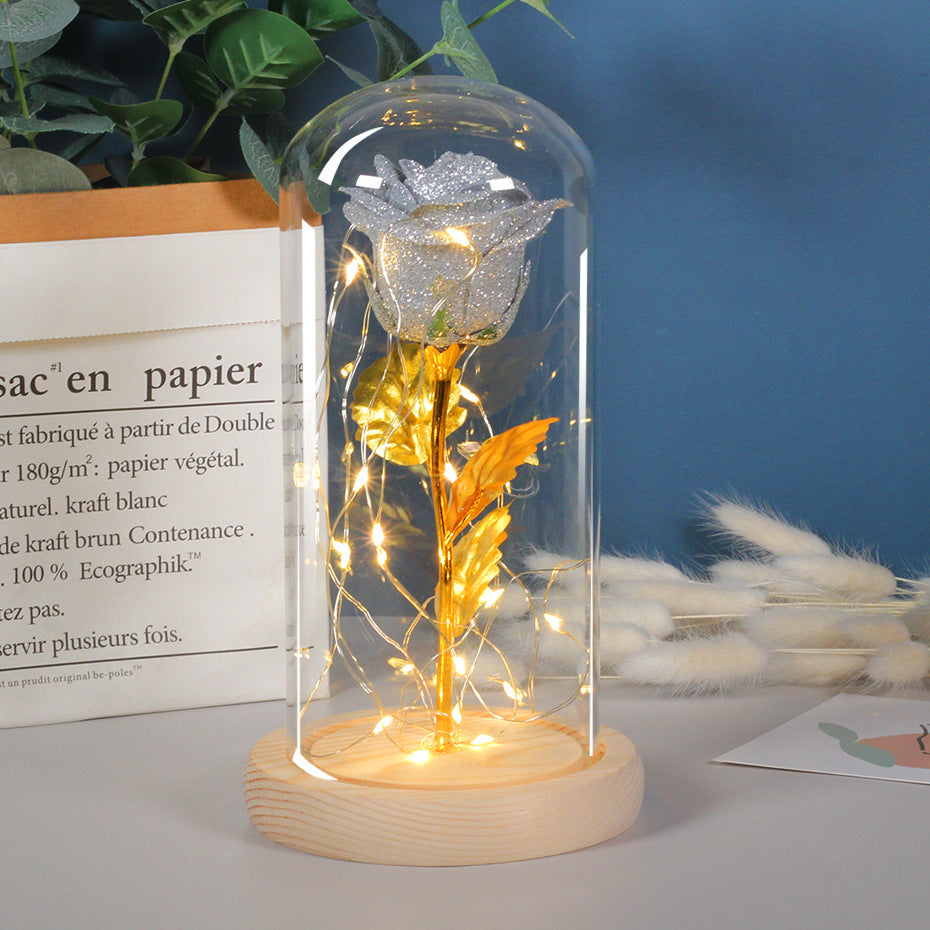 Valentine Gift for Girlfriend Eternal Rose with LED in Glass Dome Wedding Decor Mother’s Day Birthday Romantic Gift for Her