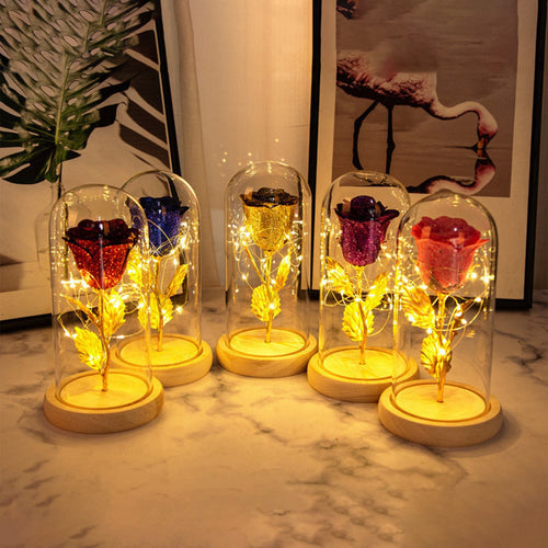 Valentine Gift for Girlfriend Eternal Rose with LED in Glass Dome Wedding Decor Mother’s Day Birthday Romantic Gift for Her